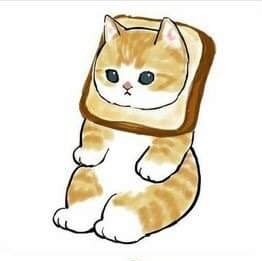 FNortwind's profile picture. 