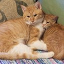 eric69 - @eric69muse - Twitter