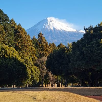 自分への戒め
静岡市住み
M
推し活好き
枕営業ってほんとにあるの？
コスプレイヤーの衣装収集が趣味