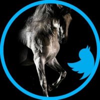 ArroGate | أروقيت(@ARROGATE_2) 's Twitter Profile Photo