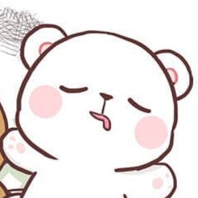 mugabunny's profile picture. cat in disguise