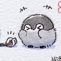 でい (@springer_tech17) 's Twitter Profile