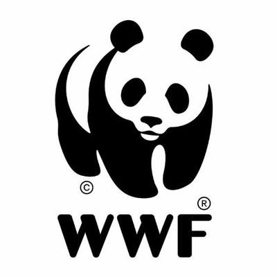 WWFMadrid Profile Picture