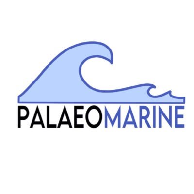 PalaeoMarine's profile picture. Research Project on the use of marine resources 🦪🐚🌊 during the Middle and Early Upper Palaeolithic in the Iberian Peninsula 🔬👩🏼‍💻👨🏻‍🔬