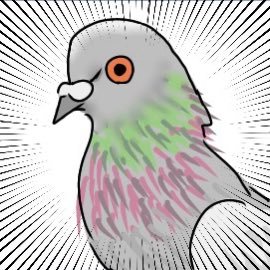 鳩山さんのプロフィール画像