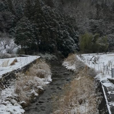 基本的に生き物全般好きです。 好きなりに生き物ネタを色々呟きます。 駆け出しですがよろしくお願いします🙇‍♂️因みにアリの研究してました