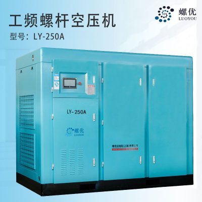 A professional Screw Air Compressor manufacturer in Shanghai.