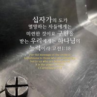 한국기독일보 (@yoon14741077) 's Twitter Profile