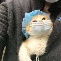 no context vet (@nocontextvet) 's Twitter Profile Photo no context vet (@nocontextvet) 's Twitter Profile Photo