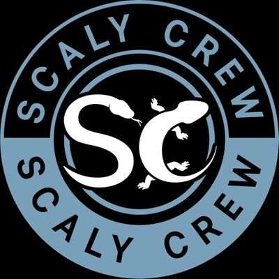 @ScalyCrew