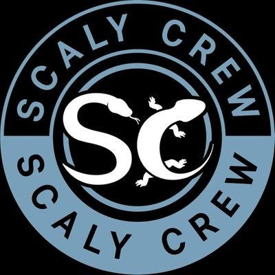 ScalyCrew Profile Picture