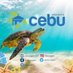 Cebu Insights (@CebuInsights) Twitter profile photo