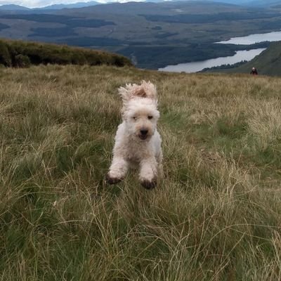 G_Oldfield99's profile picture. 