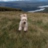 G_Oldfield99's profile picture. 