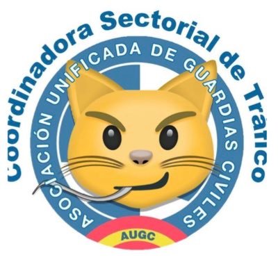 SOMOS GUARDIAS CIVILES DE TRÁFICO SECRETARIA DE COORDINACIÓN SECTORIAL trafico@augc.org 👮‍♀️👮 #StopExpedientesAugc