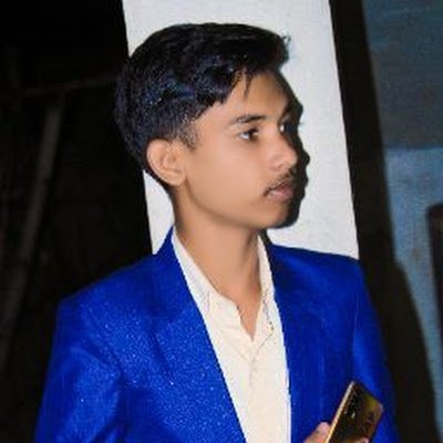 ansari_niyajul's profile picture.