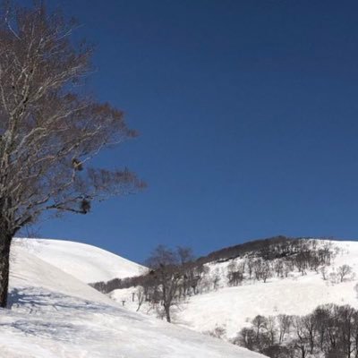 kaekae7y's profile picture. 無言でいいねとフォローすることがあります。イラストが好きです。書きませんが。たまに投稿します。 原神、ロスワ、ゲンリプ等まぁ色々触れてはいます。最近は原神ぐらいしかしてないです。どの分野でもにわかな人間です。