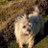 Th78133735Susan's profile image