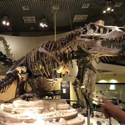 udon1446382's profile picture. 