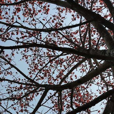 sushmitashinu's profile picture. #Neet Aspirant 
But hates chemistry 😌
Melophile✨