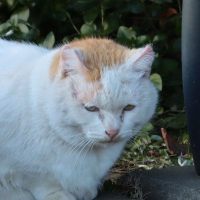 seabass_1957's profile picture. 