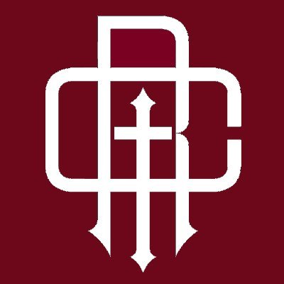 RosarioCombate's profile picture. El rosario (que) lo aguanta todo.