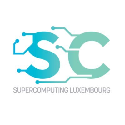 The National Competence Centre for Supercomputing