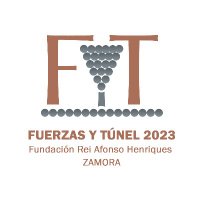 Fuerzas y Túnel 2023(@FyT_2023) 's Twitter Profileg