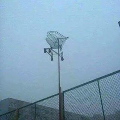 xxtwitxxx's profile picture. 20