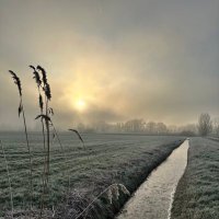 Len (@len87410197) 's Twitter Profile