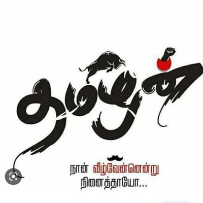 KingOfTamil009 Profile Picture