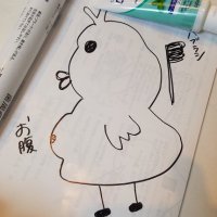 なんちゃってサイボーグあひるV7(@QuickToshi) 's Twitter Profile Photo