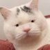 อุ้วว้าว (@sjttrfono) Twitter profile photo อุ้วว้าว (@sjttrfono) Twitter profile photo