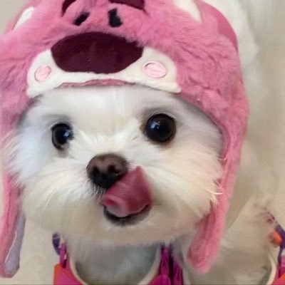 rkiveway's profile picture. 