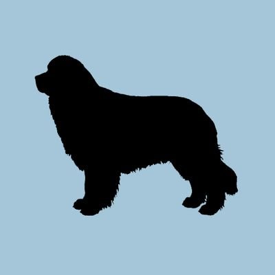 Life with Newfoundlands
🎙 Home of The Love Newfoundlands Podcast
🗓 Founder of #NationalNewfoundlandDogDay