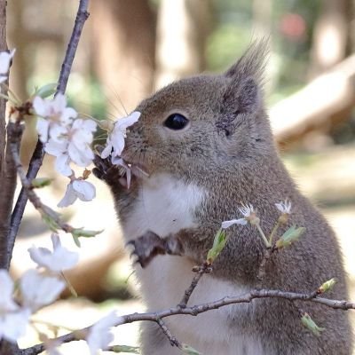 radio9u9u's profile picture. 