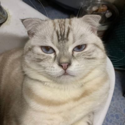 RakTheerarak's profile picture. 