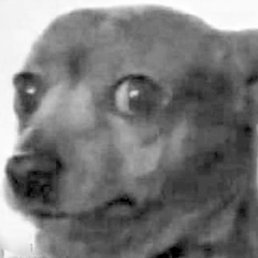 Lalarolara's profile picture. Bueno, esto es bastante incómodo.

Dj resident a @fabraicoats_fic