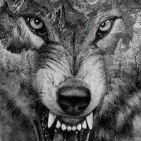 Fetih (@aagaah) Twitter profile photo