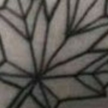 einhorn020317's profile picture. 