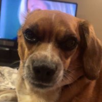 (W)est (@xxwest_) 's Twitter Profile Photo (W)est (@xxwest_) 's Twitter Profile Photo