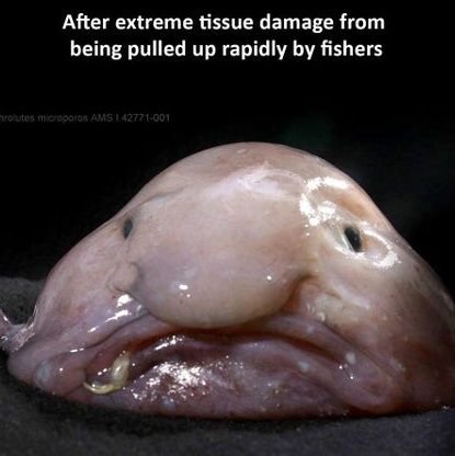 srs_loves_cats's profile picture. Why are you looking at my post and comment history?
Anyways, I post pics of cats :)