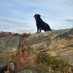 Tcf (@moorsidewalker) Twitter profile photo Tcf (@moorsidewalker) Twitter profile photo