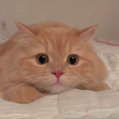 BxYve6's profile picture. しゃーーーーーーー