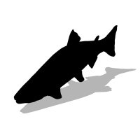 小雑貨魚屋®︎-kozakanaya- (@kozakanaya) 's Twitter Profile