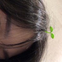 ✧ mina ✧ (@bigheartlit) 's Twitter Profile