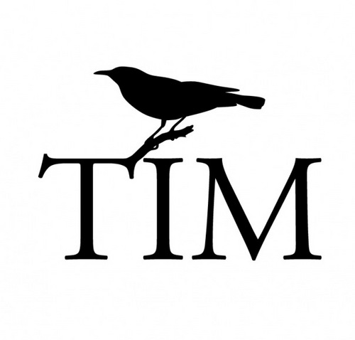 Tim Ivolgin