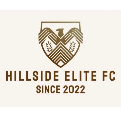 HillsideFC23's profile picture. Adult 11 A-Side Team, Based in SW London