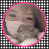 あられ🐰ムー民(@purindekai) 's Twitter Profile Photo