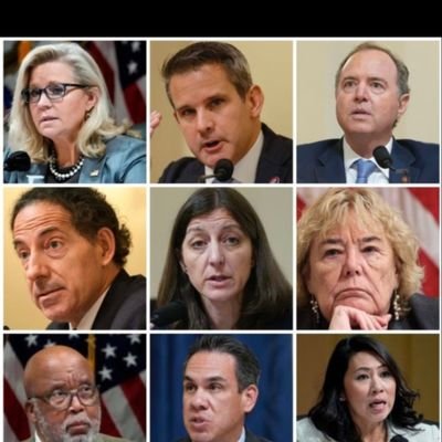 Larry42855946's profile picture. look at the traitors in my profile pic 
lock them up